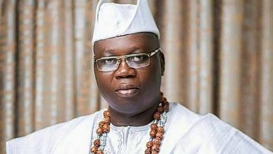 Photo of FG frustrating our efforts to dislodge terrorists from South-West – Gani Adams