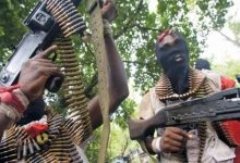Photo of More than 50 reported killed as gunmen invade Kebbi community