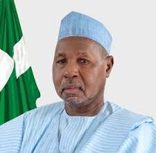 Photo of Katsina moves to maximise mineral exploration