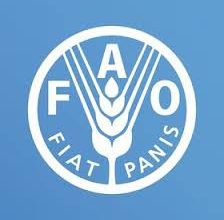 Photo of FAO launches food coalition to lift food access, sustainable agri-food systems