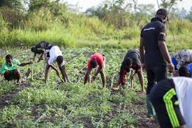 Photo of FG bans foreigners from buying agric produce directly from farmers