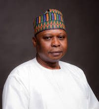 Photo of Democracy under threat in Nigeria, save us – newly elected PDP national chairman Turaki cries out to Trump