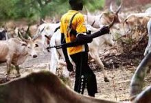 Photo of Suspected herdsmen kill driver, abduct passengers in Abia