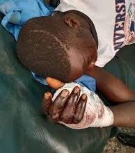 Photo of Herder attacks 58-yr-old man, son over missing cow in Bayelsa