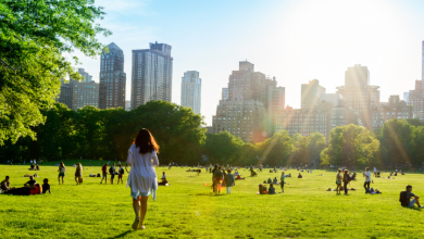 Photo of ABB urges greater adoption of high-efficiency motors, drives to combat climate change