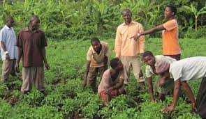 Photo of Nigerian farmers cry out over multiple taxation
