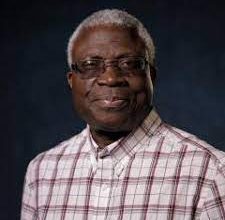 Photo of This house must not fall, By Prof Niyi Osundare