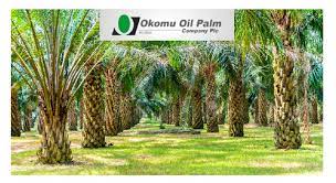 Photo of Okomu Oil Palm board recommends N7 dividend per share