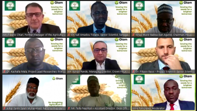 Photo of Olam, experts chart growth path for local wheat value chain