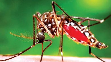 Photo of Nigeria records highest in malaria death rate globally