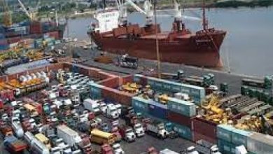 Photo of 82 per cent of Nigeria’s exported agro-allied products rejected in Europe ― Shippers