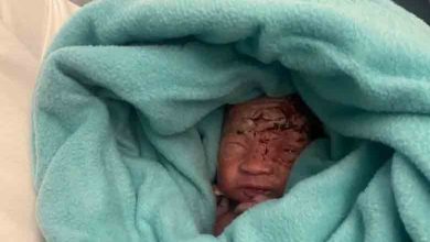 Photo of Newborn abandoned baby found in plane’s toilet bin