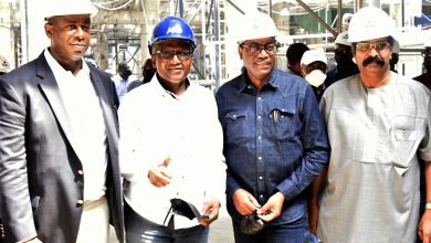 Photo of Dangote Petrochemicals, Fertiliser Plant will accelerate Africa’s economic growth – AfDB CEO Adesina