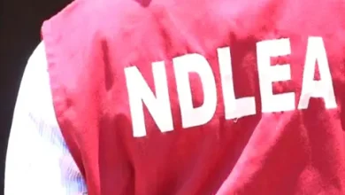 Photo of NDLEA arrests 3 wanted kingpins, seizes 51.90kg heroin