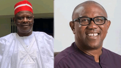 Photo of 2027: LP welcomes Kwankwaso’s offer to be Obi’s running mate