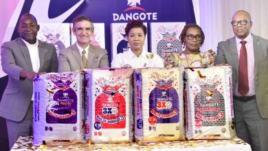 Photo of Dangote Cement to reward consumers with N1billion in new Promo