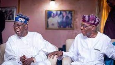 Photo of I didn’t say go to Bourdillon for thoroughbred politician — Obasanjo