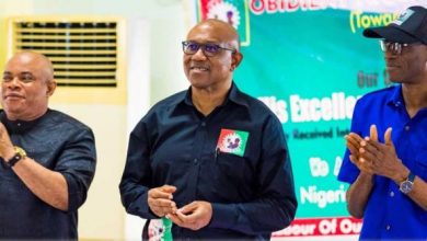 Photo of We must translate current support into votes for Labour Party, Obi – Abure