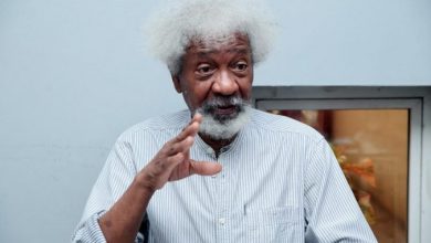 Photo of Soyinka: That awful somersault of a sage, By Ike Abonyi
