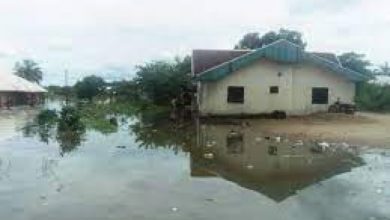 Photo of Flood wrecks havoc in Lagos estate, kills one person