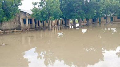 Photo of Flood claims five lives in Adamawa 