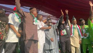 Photo of 2023: Afenifere leader Pa Ayo Adebanjo galvanizes support for Peter Obi in Ibadan 
