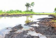 Photo of 35 oil firms face probe over environmental pollution