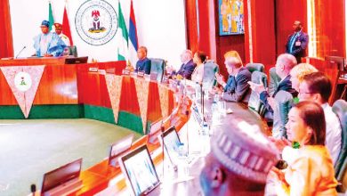 Photo of Politicians, foreigners and Nigeria’s elections, By Paul Ejime