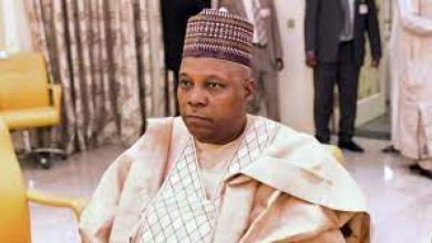 Photo of How former AGF Adoke stopped President Jonathan from removing me as Borno Gov – Shettima