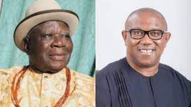 Photo of 2023 Presidency: Our endorsement of Peter Obi is sacrosanct — PANDEF