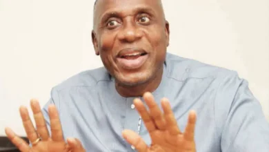 Photo of APC removes Amaechi’s ally as Southsouth zonal chairman