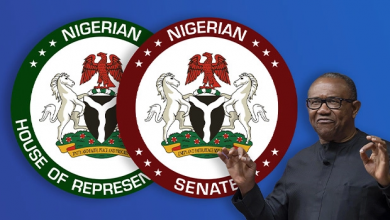 Photo of Labour Party makes inroads into National Assembly, clinches six Senate, 34 Reps seats