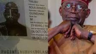 Photo of Can a candidate be disqualified for dual citizenship?