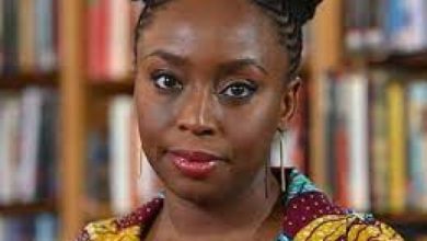 Photo of Economic Hardship: Nigeria’s middle-class reduced to beggars – Chimamanda laments