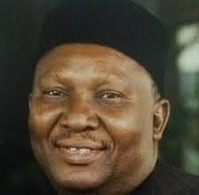 Photo of Using diplomacy and biting sanctions to beat Niger coup leaders