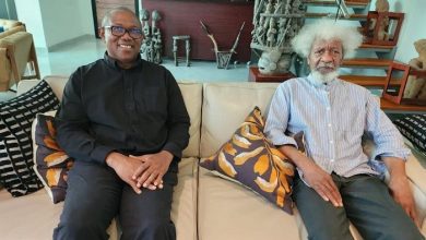 Photo of Peter Obi’s visit not about ‘reconciliation,’ says Soyinka