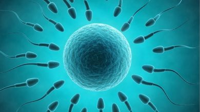 Photo of Researchers raise alarm over rising decrease in sperm quality in Nigeria, South Africa