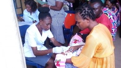 Photo of Malnourished children more likely to exhibit bitterness, limited comprehension – Expert