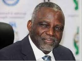 Photo of Nnaji sets up Robotics and Artificial Intelligence Institute in Nigeria, canvasses higher status for 100-year Bigard Seminary