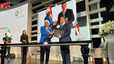 Photo of CBN, Central Bank of Egypt set up ‘Nigeria-Egypt FinTech Bridge’