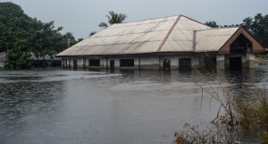 Photo of Cameroon Dam release won’t cause flooding like 2022, FG assures Nigerians