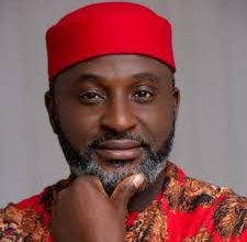 Photo of Tribunal sacks Abia LP Reps member, Amobi Ogah