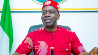Photo of Sowing Prosperity: Soludo’s Coconut/Oil Palm Agenda gathers steam 