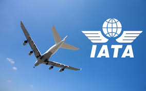 Photo of Lagos, Abuja world’s most expensive airports with 27 levies – IATA