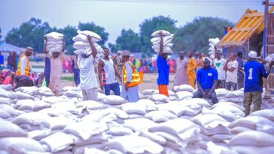 Photo of Hunger in the Land: Endless wait for palliatives in states amid accountability deficits