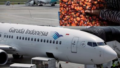 Photo of Indonesia conducts first commercial flight using palm oil-blended jet fuel