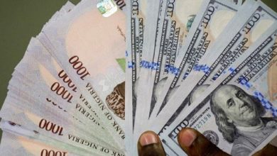 Photo of Naira crashes by over 80 percent after Tinubu and CBN’s experiment