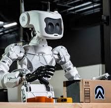 Photo of Man crushed to death by robot that mistook him for vegetable box