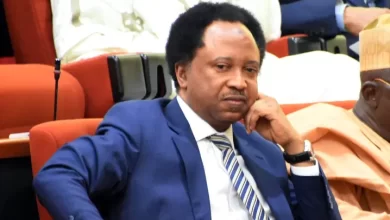 Photo of Kidnapping, Terrorism: Over 10,000 schools shut in the North – Senator Sani