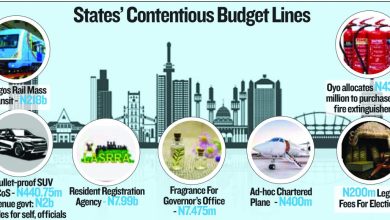 Photo of Lagos, others caught in fiscal recklessness amid huge legacy debts